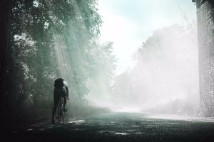 Person biking. Photo by: Rikki Chan via unsplash https://unsplash.com/photos/_k31aFqnmTM